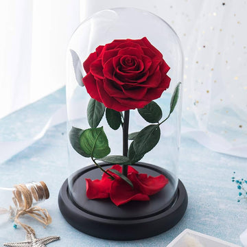 Red Forever Rose