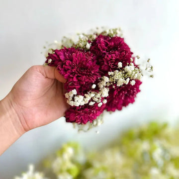 Burgundy Bliss Gajra