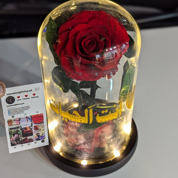 Antal Hayat: Forever Rose in Glass Display