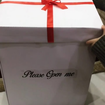 Open Me: A Big Box of Surprises & Treats