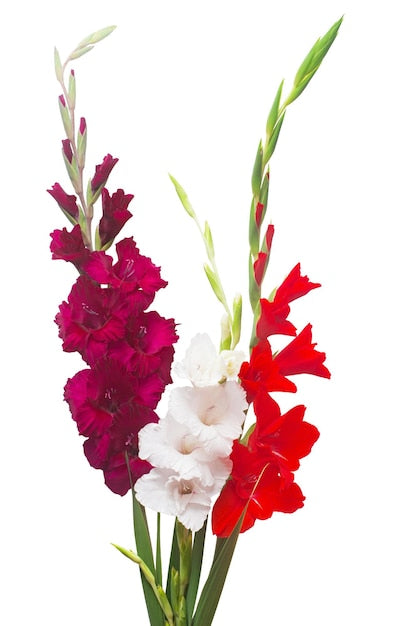 For Her