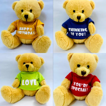 Mini Teddy Bear with Personalized Shirt