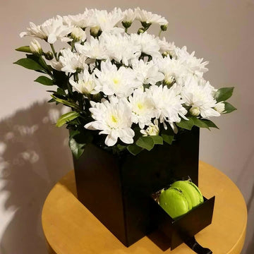 Chrysanthemum Beauty & Macron Bliss