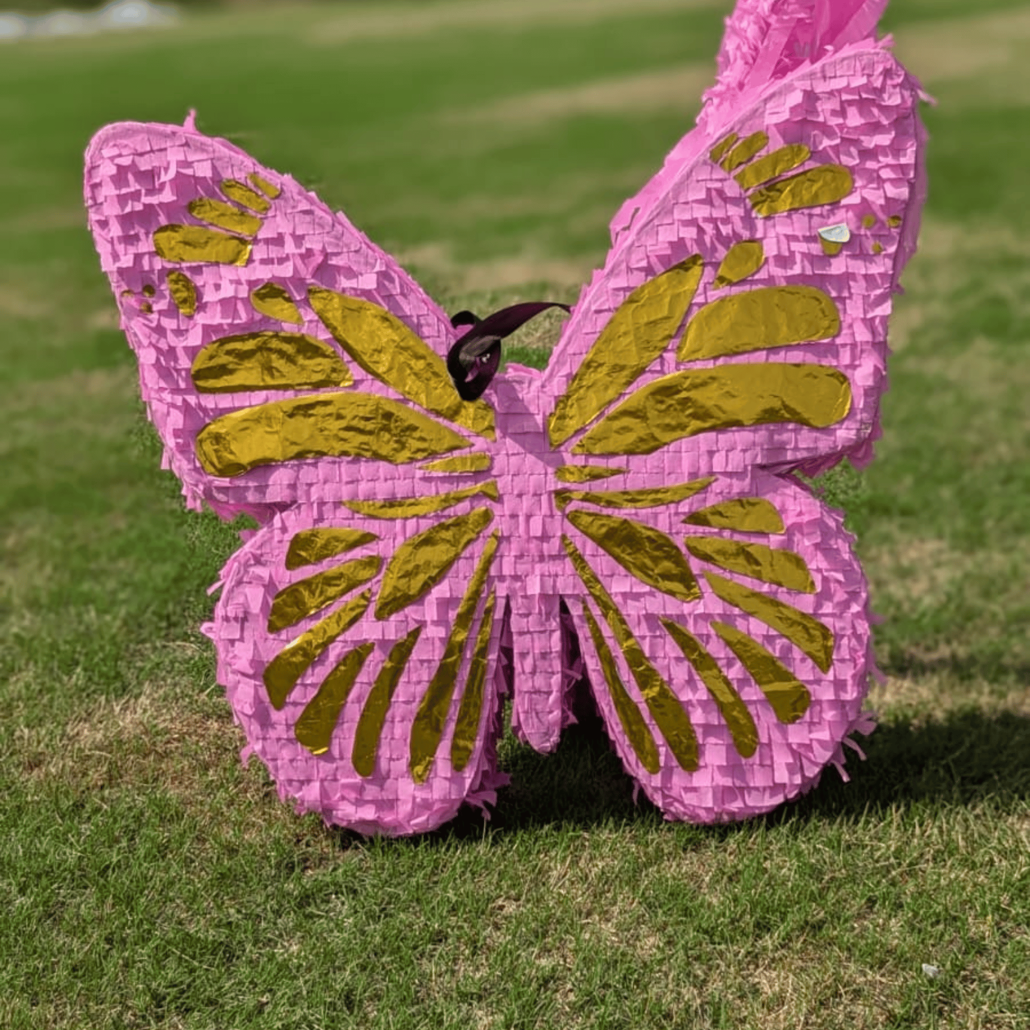 Unique Gift for Kids| Magical Butterfly Pinata|Chocolates🍫