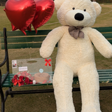 White Teddy Delight with Acrylic Bag & Foil Hearts